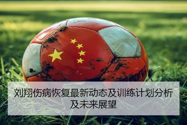 刘翔伤病恢复最新动态及训练计划分析及未来展望